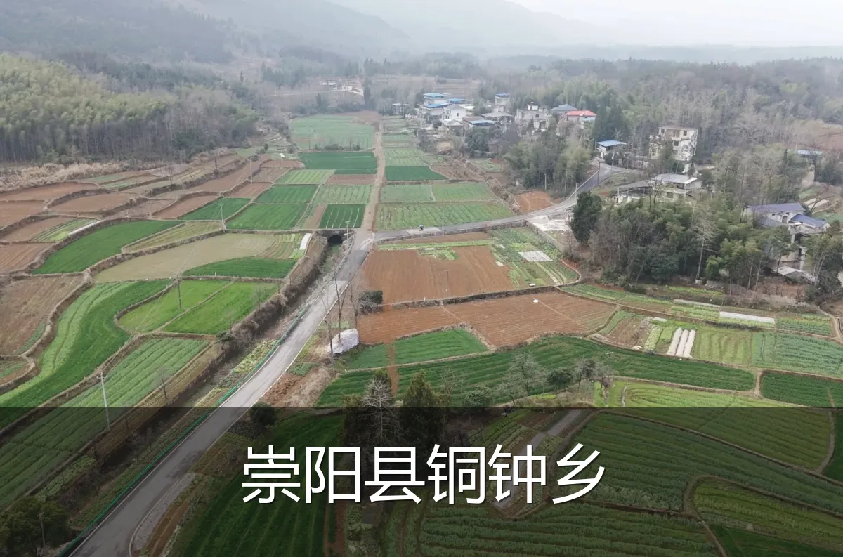 崇阳县铜钟乡